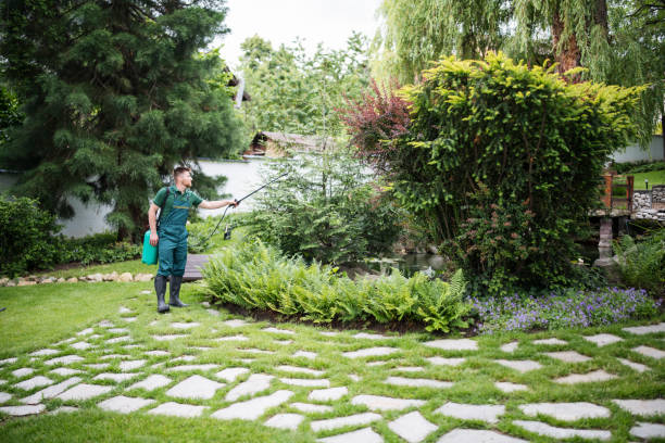 Best Pest Removal Services  in Marist College, NY