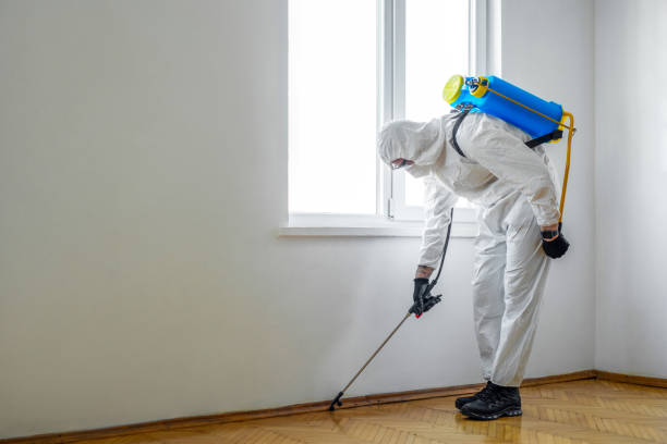 Best Termite Control Services  in Marist College, NY