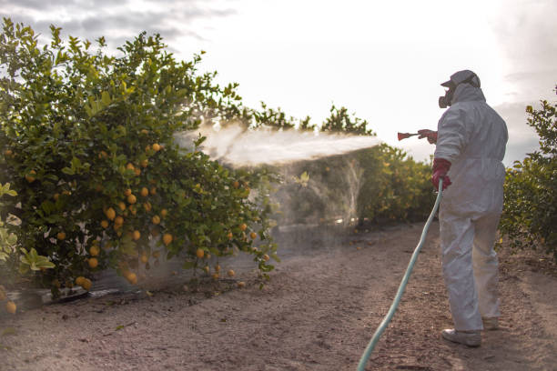 Best Exterminator Services  in Marist College, NY