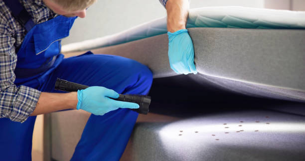 Best Emergency Pest Control  in Marist College, NY