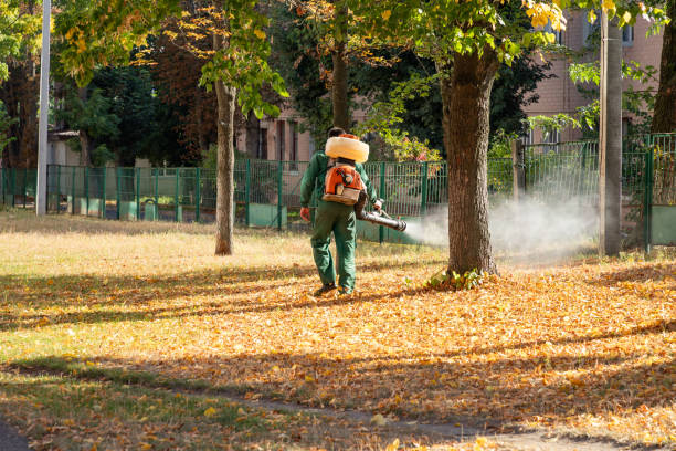 Best Termite Control Services  in Marist College, NY