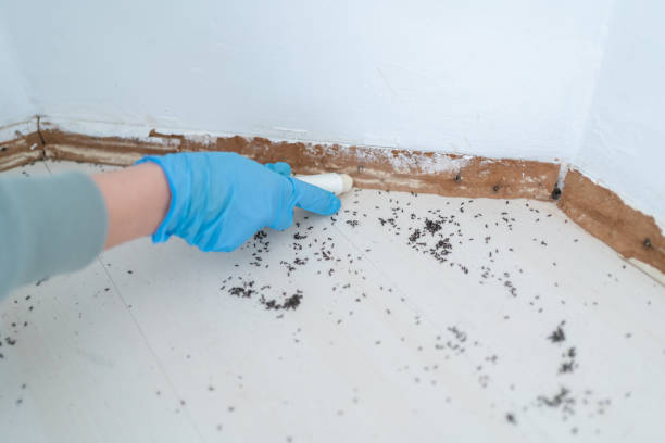 Best Residential Pest Control  in Marist College, NY