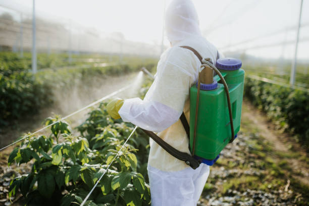 Best Flea Control Services  in Marist College, NY